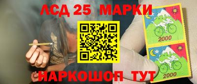 гидропоника Донской