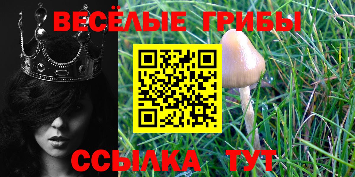 Северск  Галлюциногенные грибы прущие грибы  Вход с VPN  Галлюциногенные грибы мицелий 